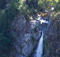 Lyrebird Falls walking track - Accommodation Daintree