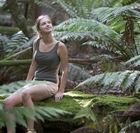 Barrington Tops National Park - Honeysuckle Forest Track - Accommodation Daintree