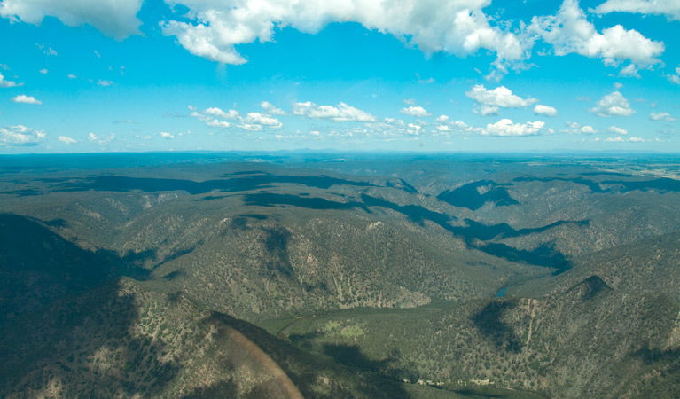 Bungonia NSW Accommodation Daintree