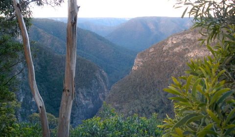 Bungonia National Park - Accommodation Daintree 1