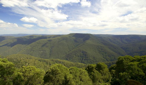 Barrington Tops National Park - Accommodation Daintree 0