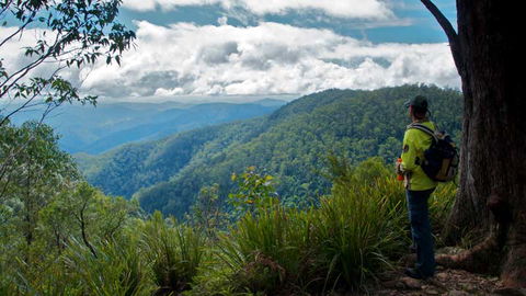 Barrington Tops National Park - Accommodation Daintree 3