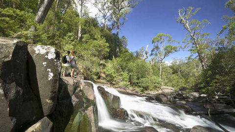 Barrington Tops National Park - Accommodation Daintree 2