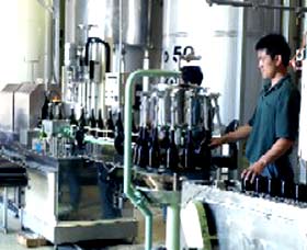 Sun Masamune Sake Brewery - Accommodation Daintree 2