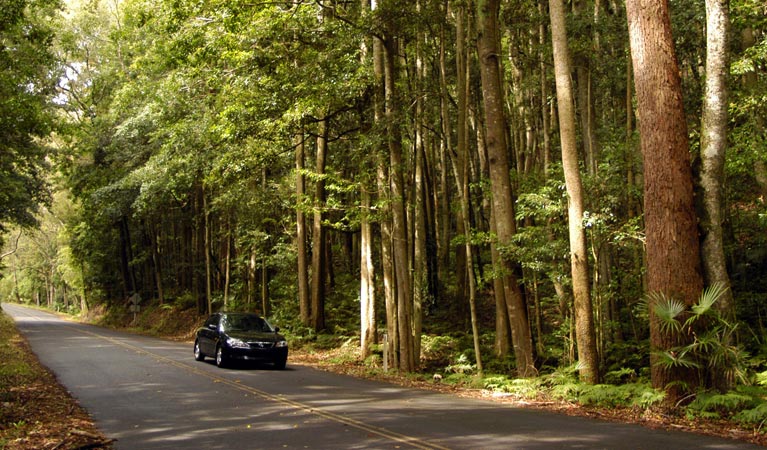 Regentville NSW Accommodation Daintree