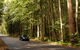Greater Blue Mountains Drive - thumb 0