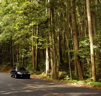 Greater Blue Mountains drive - Accommodation Daintree