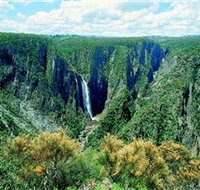 Wollomombi Falls - Accommodation Daintree