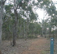 Green track - Accommodation Daintree
