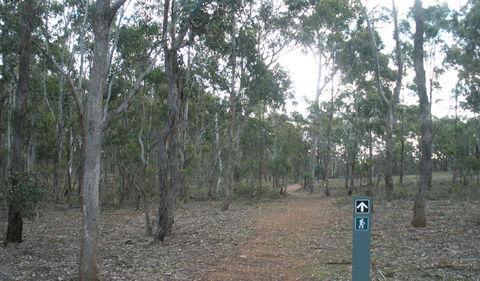 Green Track - Accommodation Daintree 0