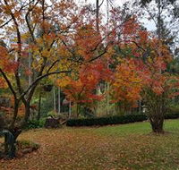 Bellbird Cottage - Accommodation Daintree
