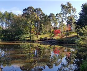 Bellbird Cottage - Accommodation Daintree 1