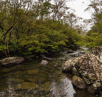 River walking track - Accommodation Daintree