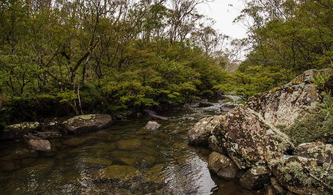 River Walking Track - Accommodation Daintree 0
