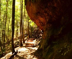 Cave Creek Walking Track - Accommodation Daintree 1