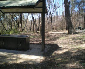 Cave Creek Walking Track - Accommodation Daintree 4