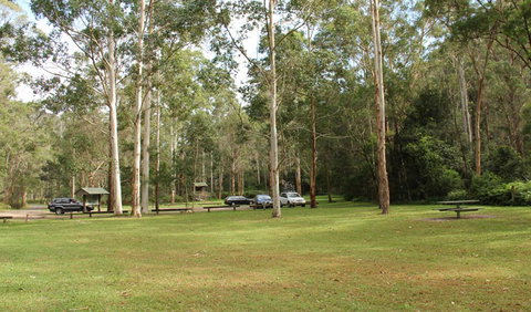 Mill Creek Picnic Area - Accommodation Daintree 0