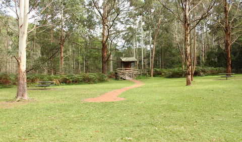 Mill Creek Picnic Area - Accommodation Daintree 2