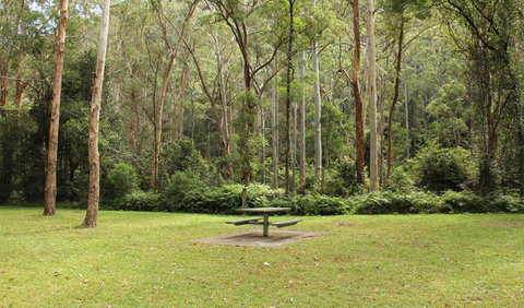 Mill Creek Picnic Area - Accommodation Daintree 1