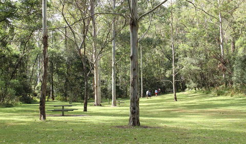 Mill Creek Picnic Area - Accommodation Daintree 3