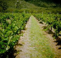 Gartelmann Wines - Accommodation Daintree