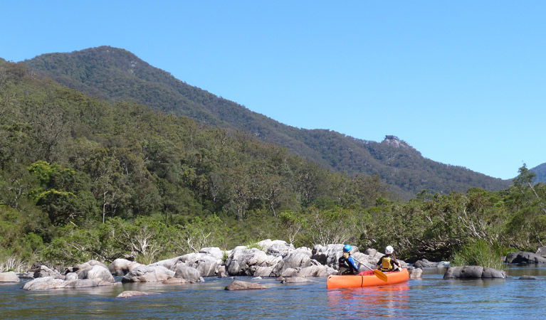 Upper Fine Flower NSW Accommodation Daintree