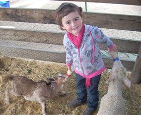 Hunter Valley Zoo - Accommodation Daintree 4