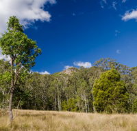 Brush Turkey track - Accommodation Daintree