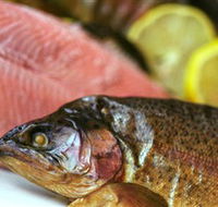 Lovedale Smokehouse Gourmet Pantry Cafe and Masterclasses - Accommodation Daintree