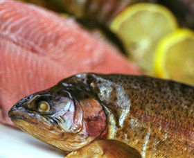 Lovedale Smokehouse Gourmet Pantry, Cafe And Masterclasses - Accommodation Daintree 0