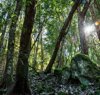 Copeland Tops State Conservation Area - Accommodation Daintree
