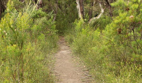 Three Views Walking Track - Accommodation Daintree 0