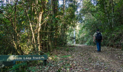 Basin Loop Track - Accommodation Daintree 0