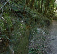 Hidden Treasure track - Accommodation Daintree