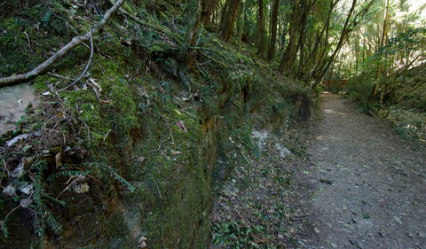 Hidden Treasure Track - Accommodation Daintree 0