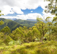 Toonumbar National Park - Accommodation Daintree
