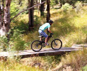 The Steps Mountain Bike Park - Accommodation Daintree 0