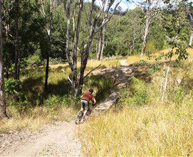 The Steps Mountain Bike Park - Accommodation Daintree 2