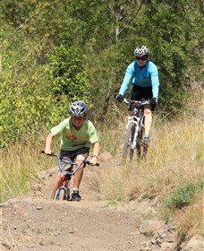 The Steps Mountain Bike Park - Accommodation Daintree 6