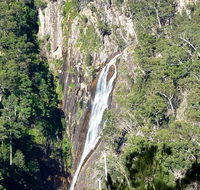 Carrai National Park - Accommodation Daintree