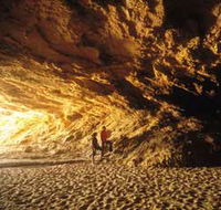 Stockyard Gully National Park - Accommodation Daintree