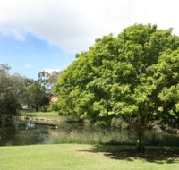 Hervey Bay Botanic Gardens - Accommodation Daintree