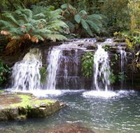 Barrington Tops National Park Walks - Accommodation Daintree