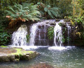 Barrington Tops National Park Walks - Accommodation Daintree 0
