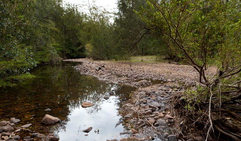 Budawang National Park - Accommodation Daintree 2