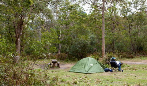 Budawang National Park - Accommodation Daintree 3