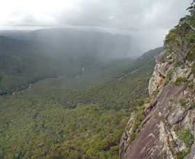 Old Glen Innes Road And The Historic Tunnel Grafton - Accommodation Daintree 1
