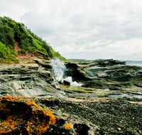 Glenrock State Conservation Area - Accommodation Daintree