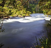 Nymboi-Binderay National Park - Accommodation Daintree