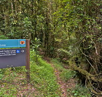 Red Cedar loop - Accommodation Daintree